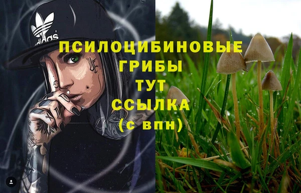 твердый Алзамай