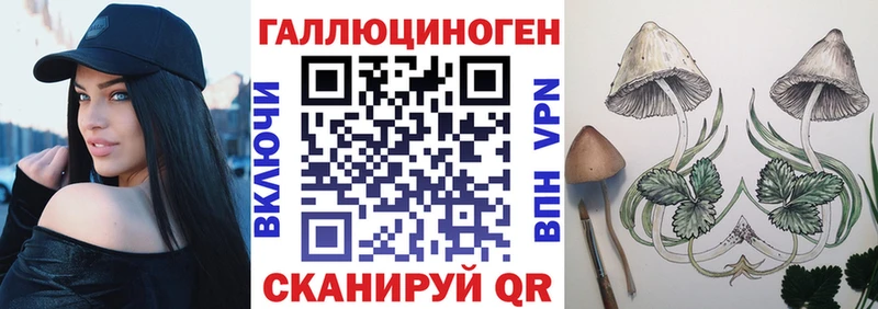 цена   Стародуб  kraken tor  Галлюциногенные грибы Magic Shrooms 